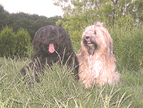 Lahri und Jack